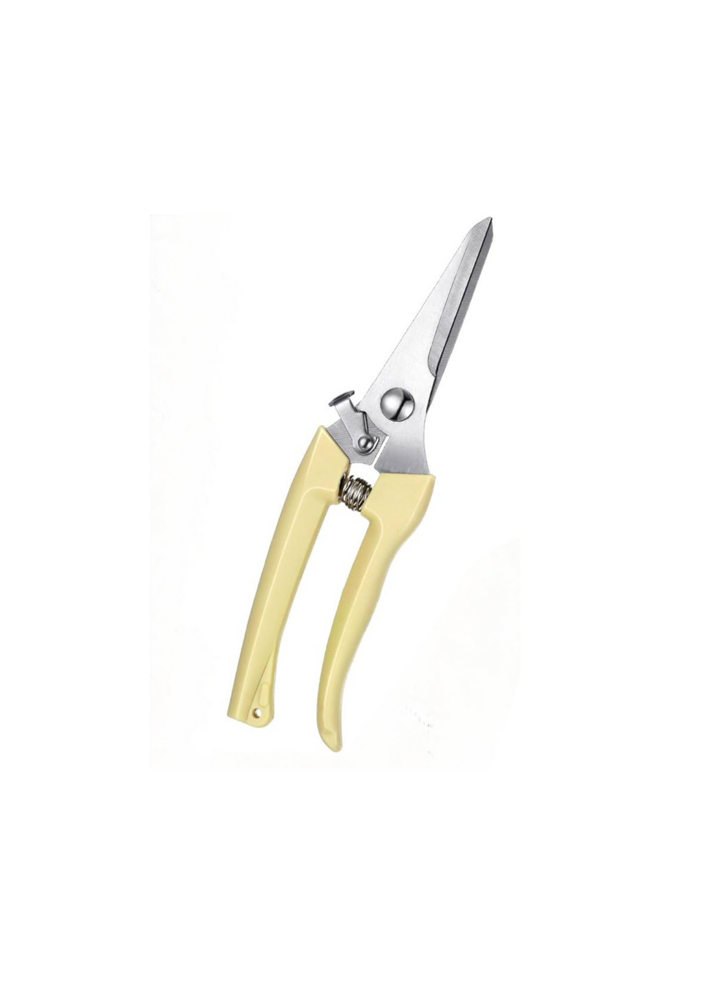 Pruning Scissors