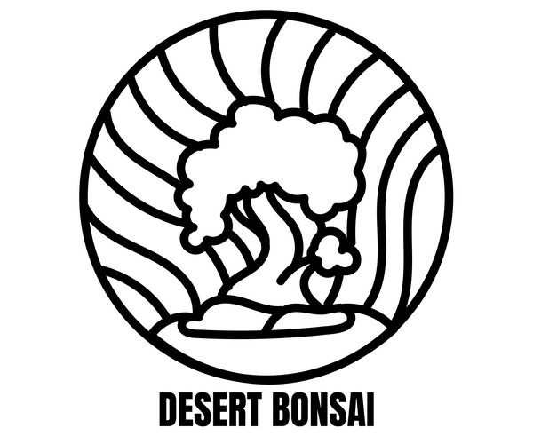 Desert Bonsai
