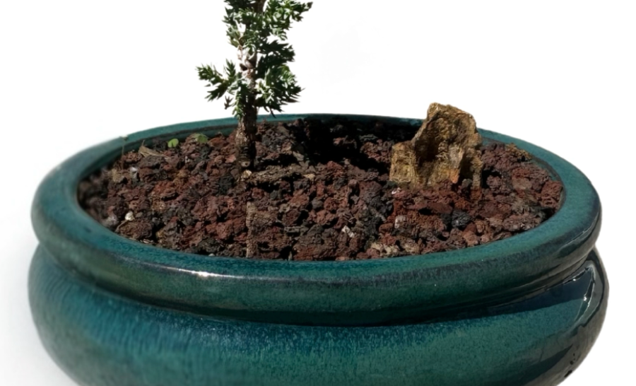 Lava Rock