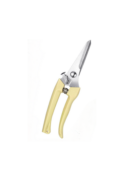 Pruning Scissors